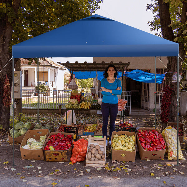 10 x 10 Feet Foldable Outdoor Instant Pop-up Canopy with Carry Bag, photo 2 of 10