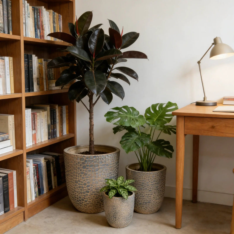 Large Outdoor Indoor Planter Set of 3 by HouseOfZazla