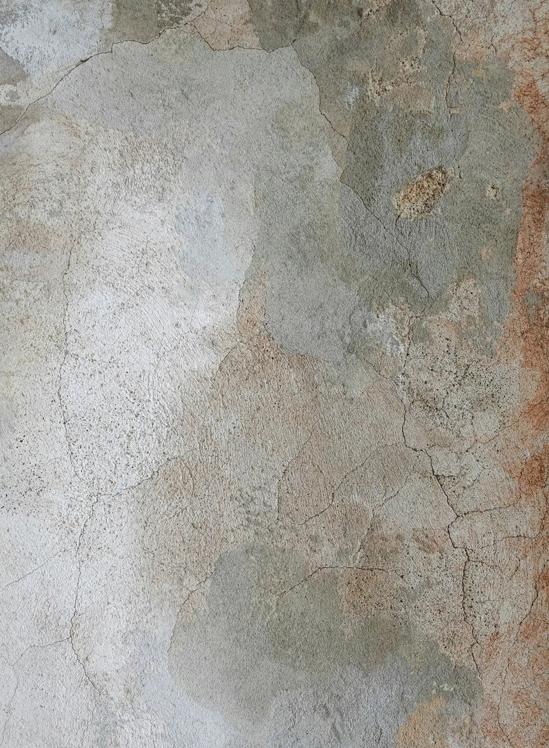 Artistic Collection Area Rug by HouseOfZazla