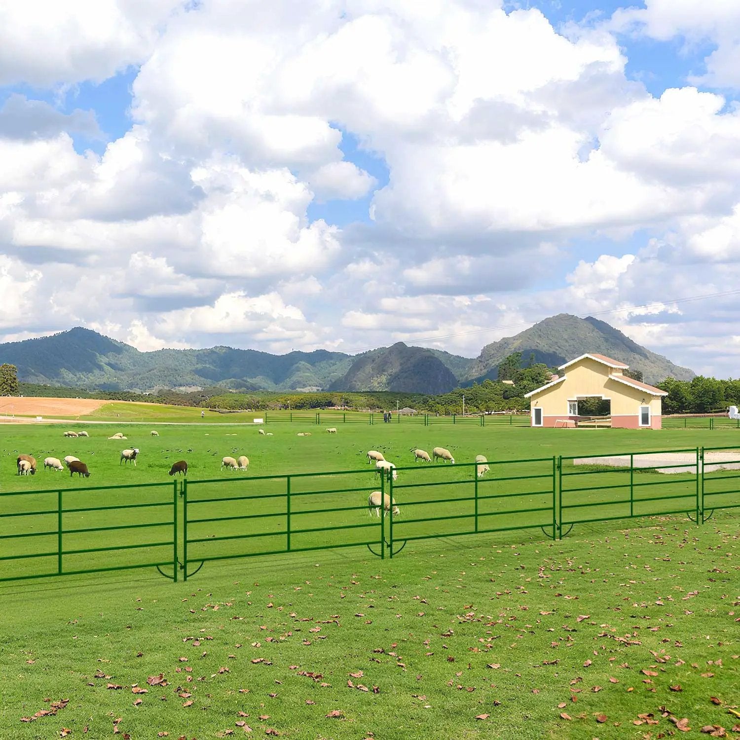 10x5 ft Cattle Panels Livestock Fence Panels, 28pcs by Chery Industrial