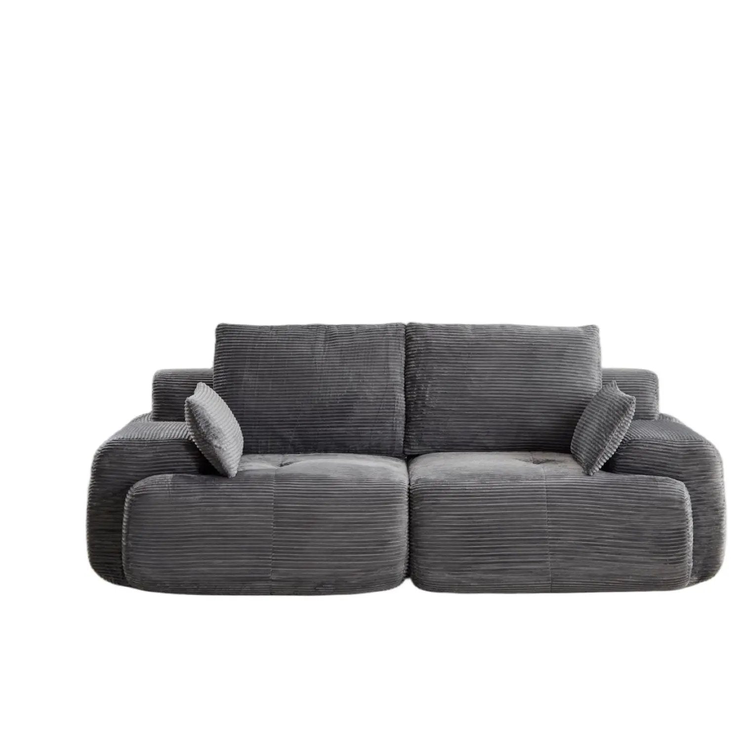 2 Seater Large Sectional Couches For Living Room by HouseOfZazla