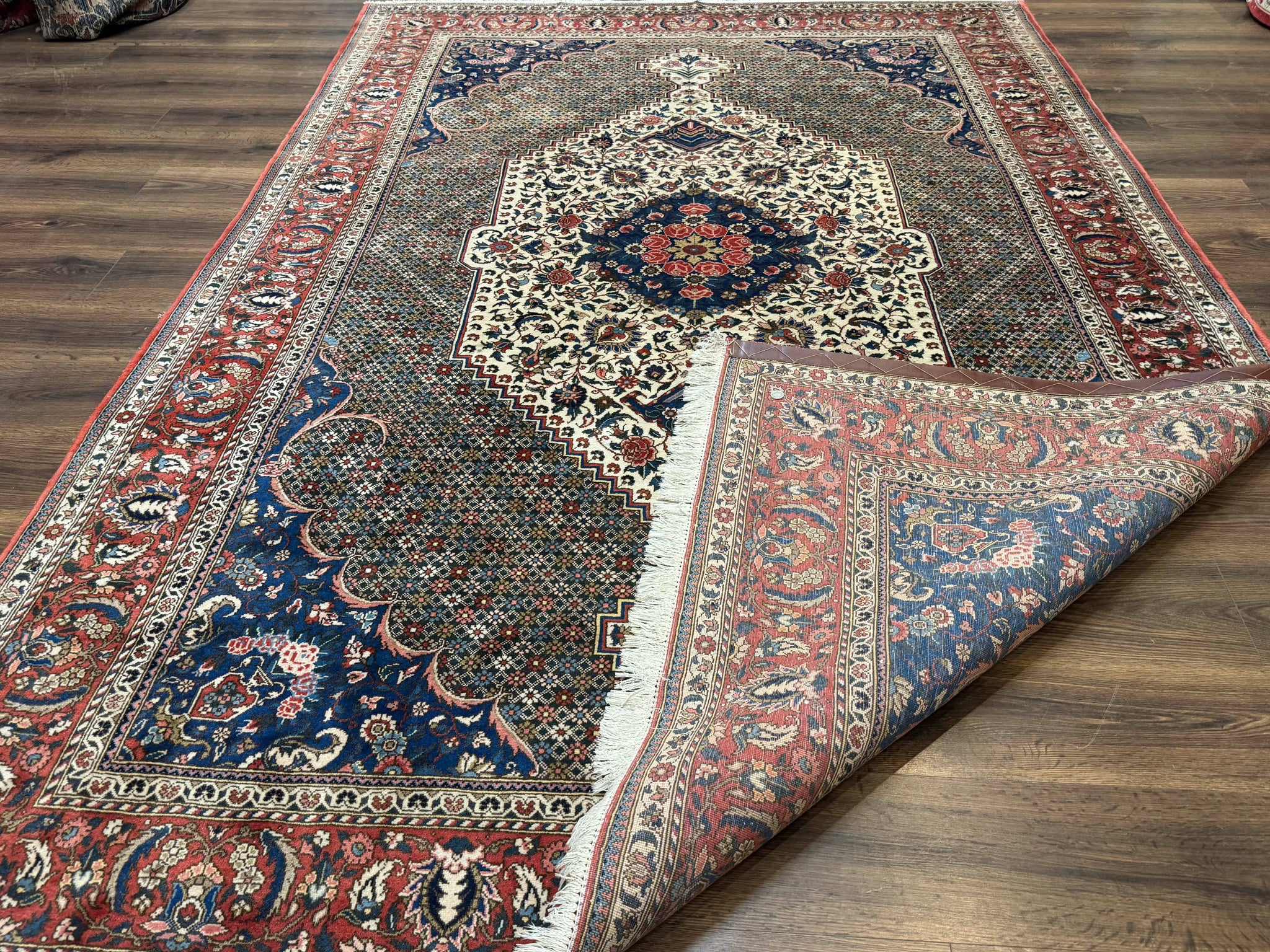 Persian Rug 7x10, Bakhtiari Saman Rug, Unique Design and Colors, Ivory Red Blue, Large Tribal Rug by Jewel Rugs