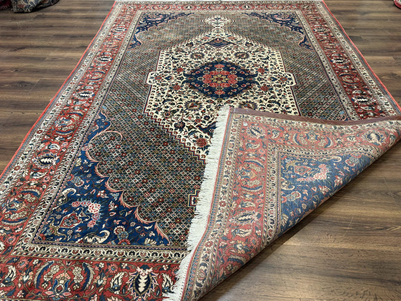 Persian Rug 7x10, Bakhtiari Saman Rug, Unique Design and Colors, Ivory Red Blue, Large Tribal Rug by Jewel Rugs