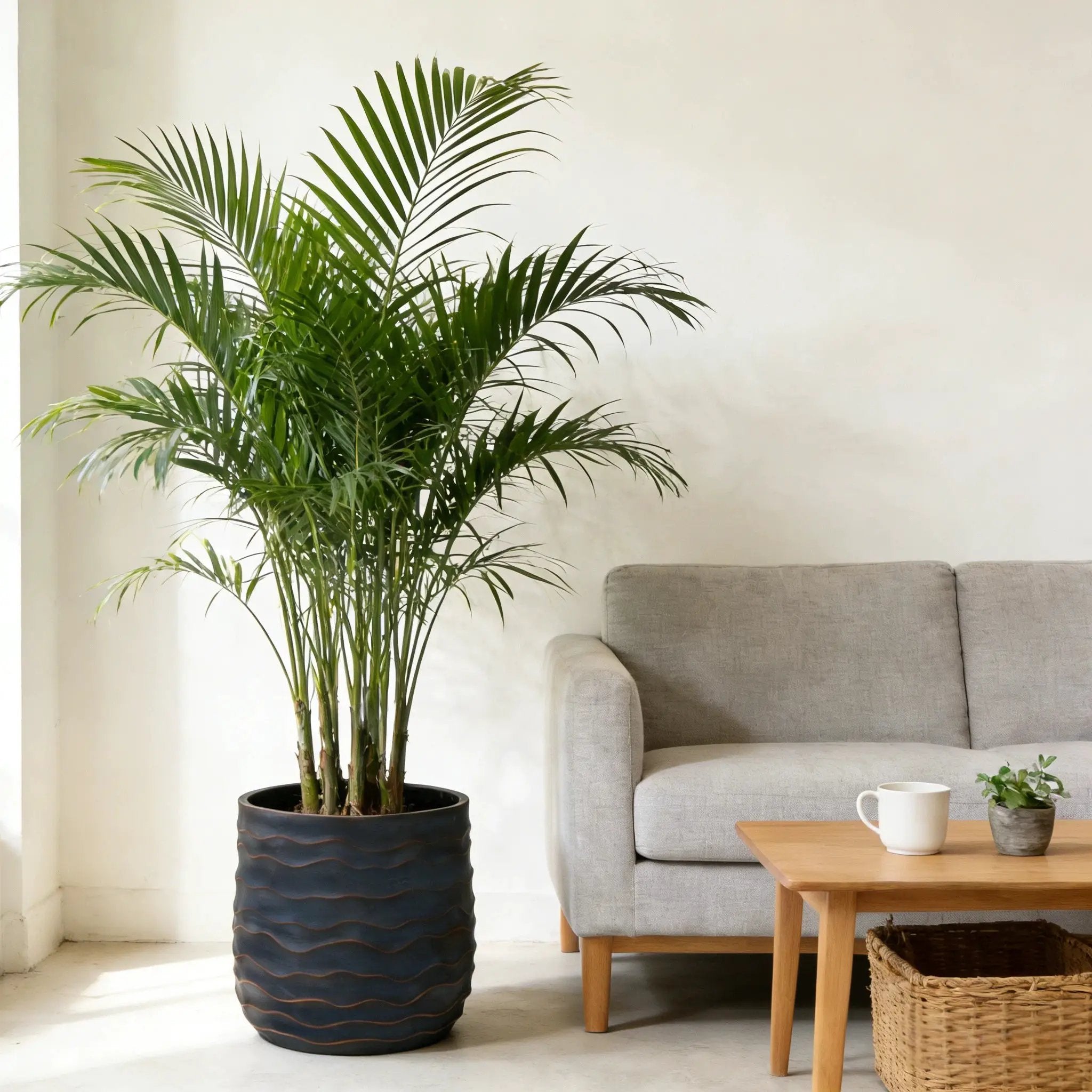 Large Round Planters Set of 2 by HouseOfZazla