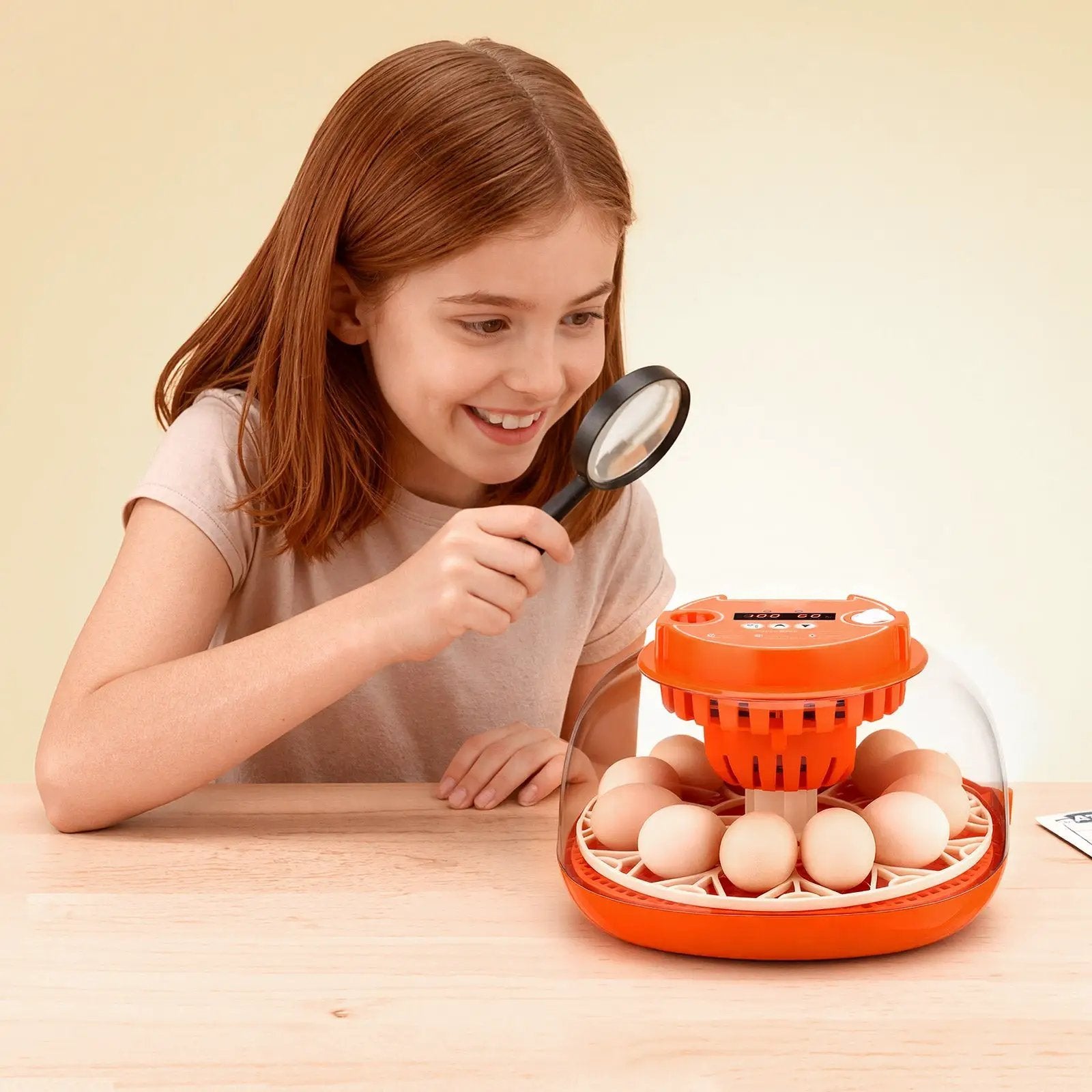 12 Egg Incubator with Automatic Egg Turner and LED Candler by HouseOfZazla