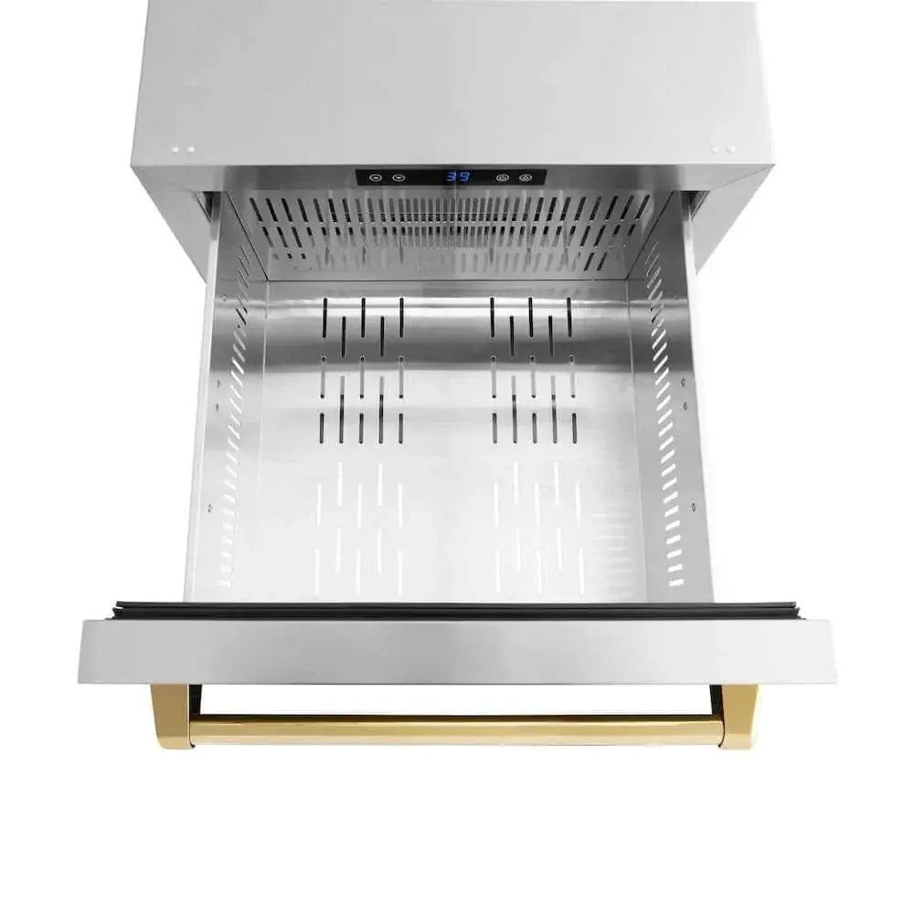 ZLINE 24" Touchstone 168 Can Outdoor-Rated Dual Refrigerator Drawer, Gold, RDSOZ-ST-24-G by Farmhouse Kitchen and Bath