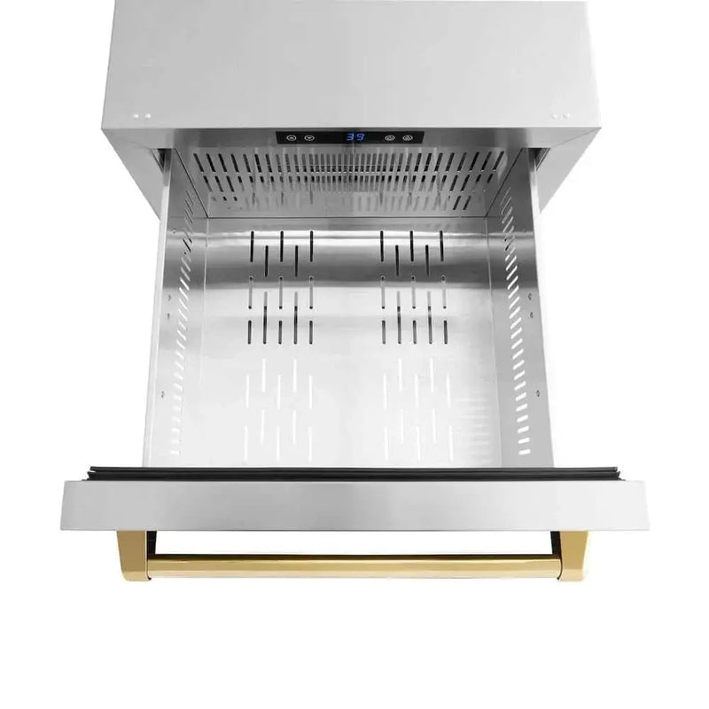 ZLINE 24" Touchstone 168 Can Outdoor-Rated Dual Refrigerator Drawer, Gold, RDSOZ-ST-24-G by Farmhouse Kitchen and Bath
