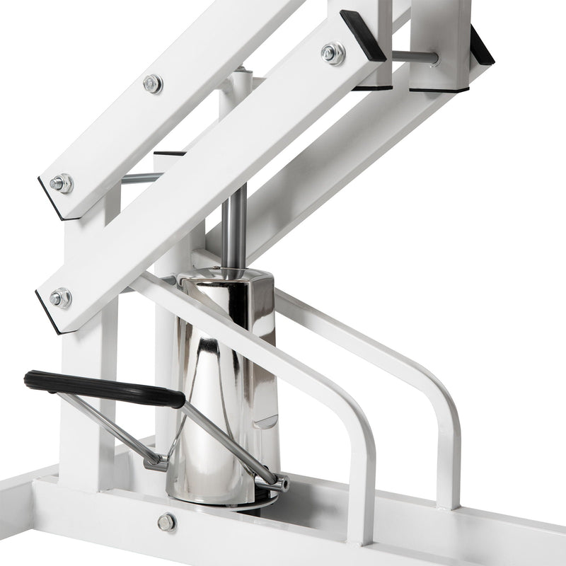 Hydraulic Pet Grooming Table by HouseOfZazla