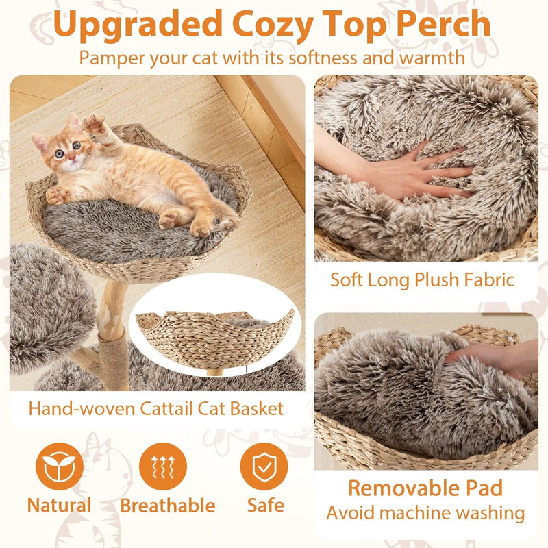 Wood Cat Tree Solid Pear Cat Tree with Perch and Sisal Scratching Posts-Brown by DirectDeals