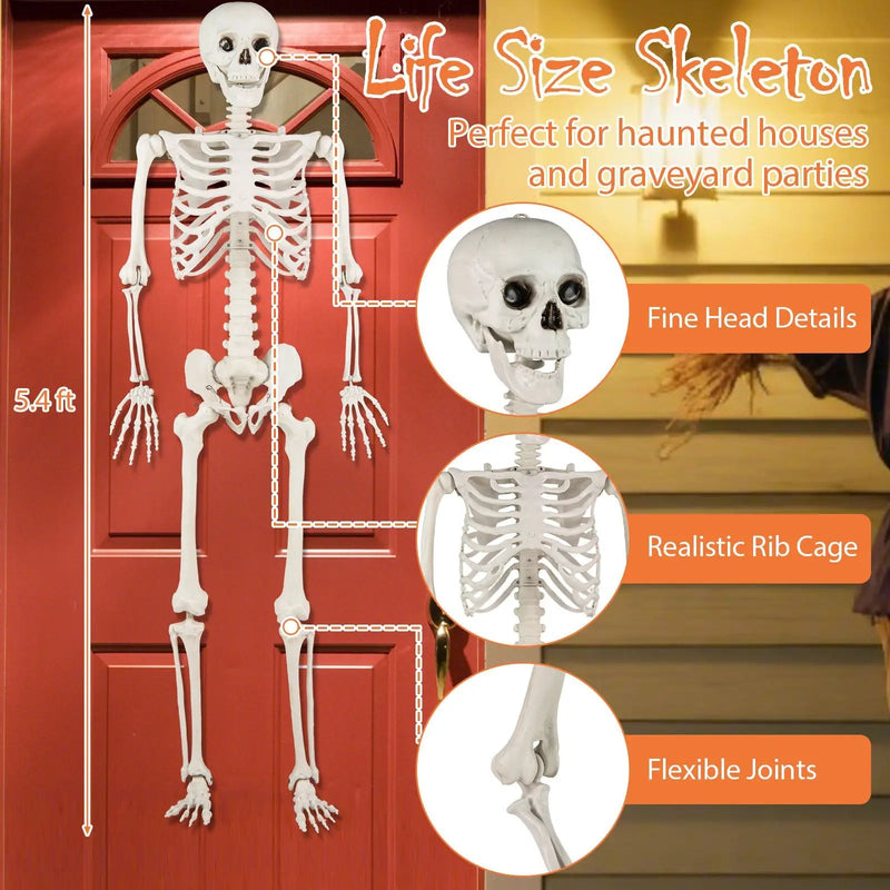 5.4 FT Halloween Skeleton Decoration Life Size Large Skeleton by DirectDeals