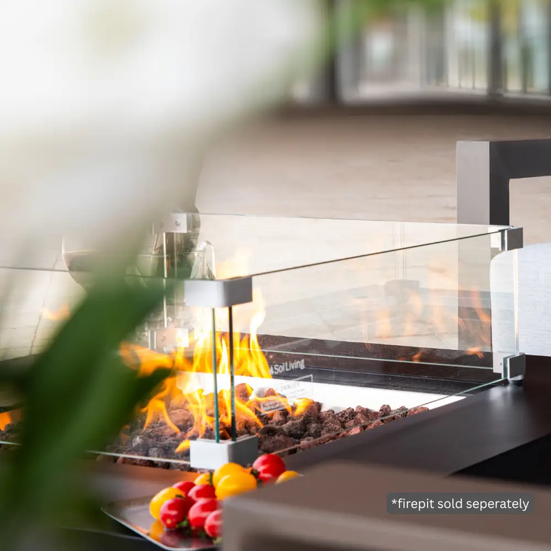 Ashton Fire Pit Tempered Clear Glass Wind Screen by EnvelorHome