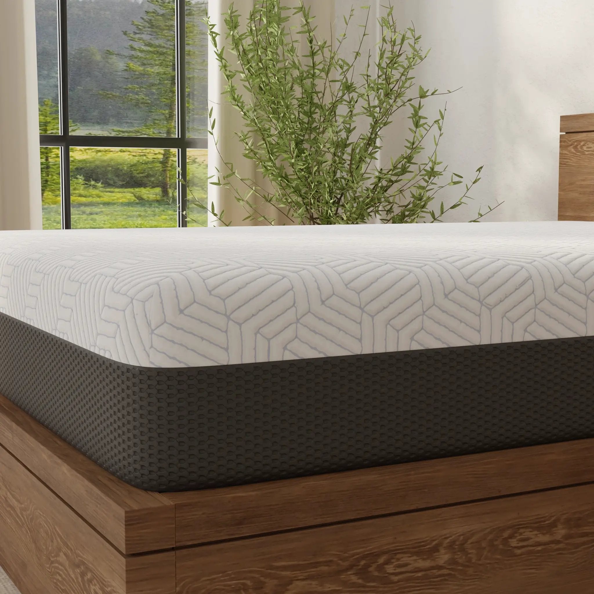 Omne Fria 12 Inch Queen Soft Mattress With Cooling Cover by HouseOfZazla