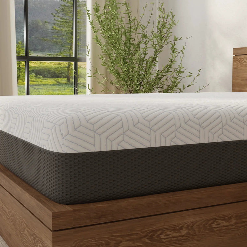 Omne Fria 12 Inch Queen Soft Mattress With Cooling Cover by HouseOfZazla