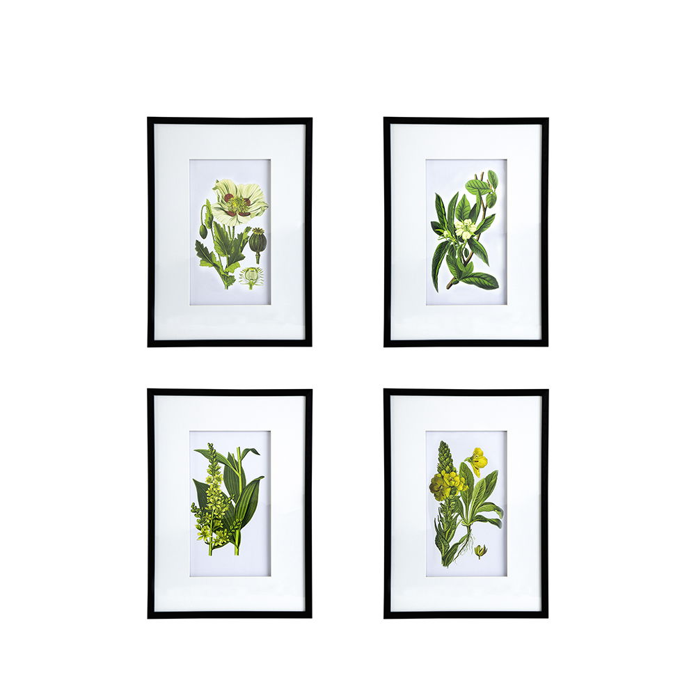 Botanical Flower Wall Art Set of 4 with Framed Prints - White / Blue, photo 3 of 15