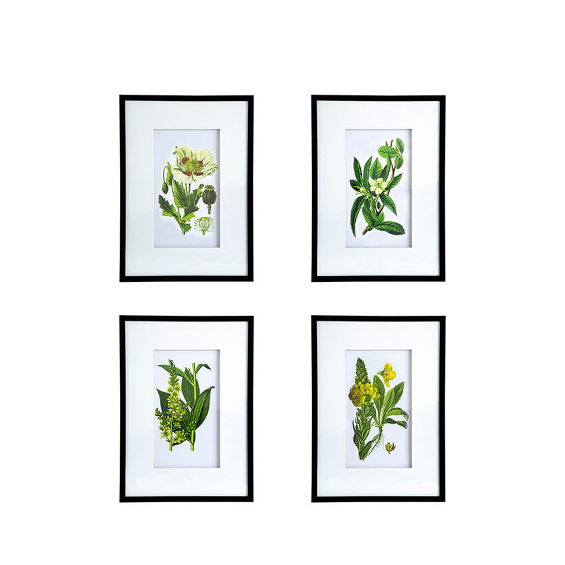 Botanical Flower Wall Art Set of 4 with Framed Prints - White / Blue, photo 3 of 15