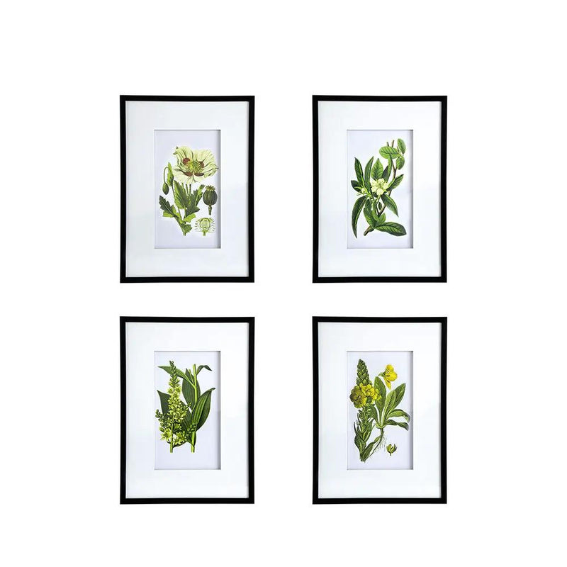 Botanical Flower Wall Art, Home Decor For Living Room Dining Room, Bedroom, Hallway (Set of 4) - White / Blue by Unique Piece Furniture