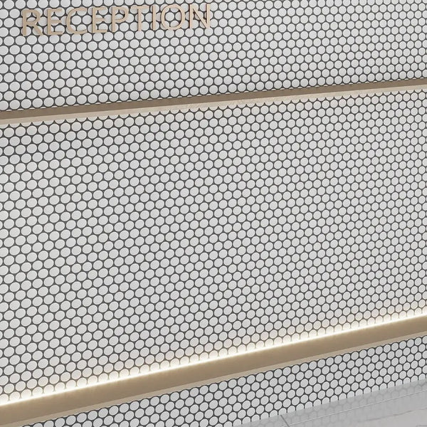 Pearl White 12x12 Matte Penny Round Porcelain Mosaic Tile (10 pack, 9.87 sq ft/case)