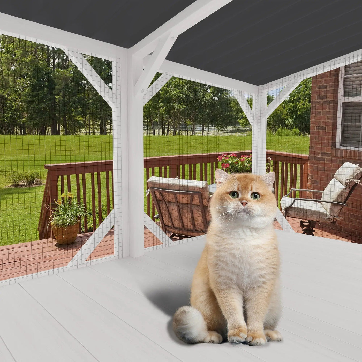 Cat Window Box by HouseOfZazla