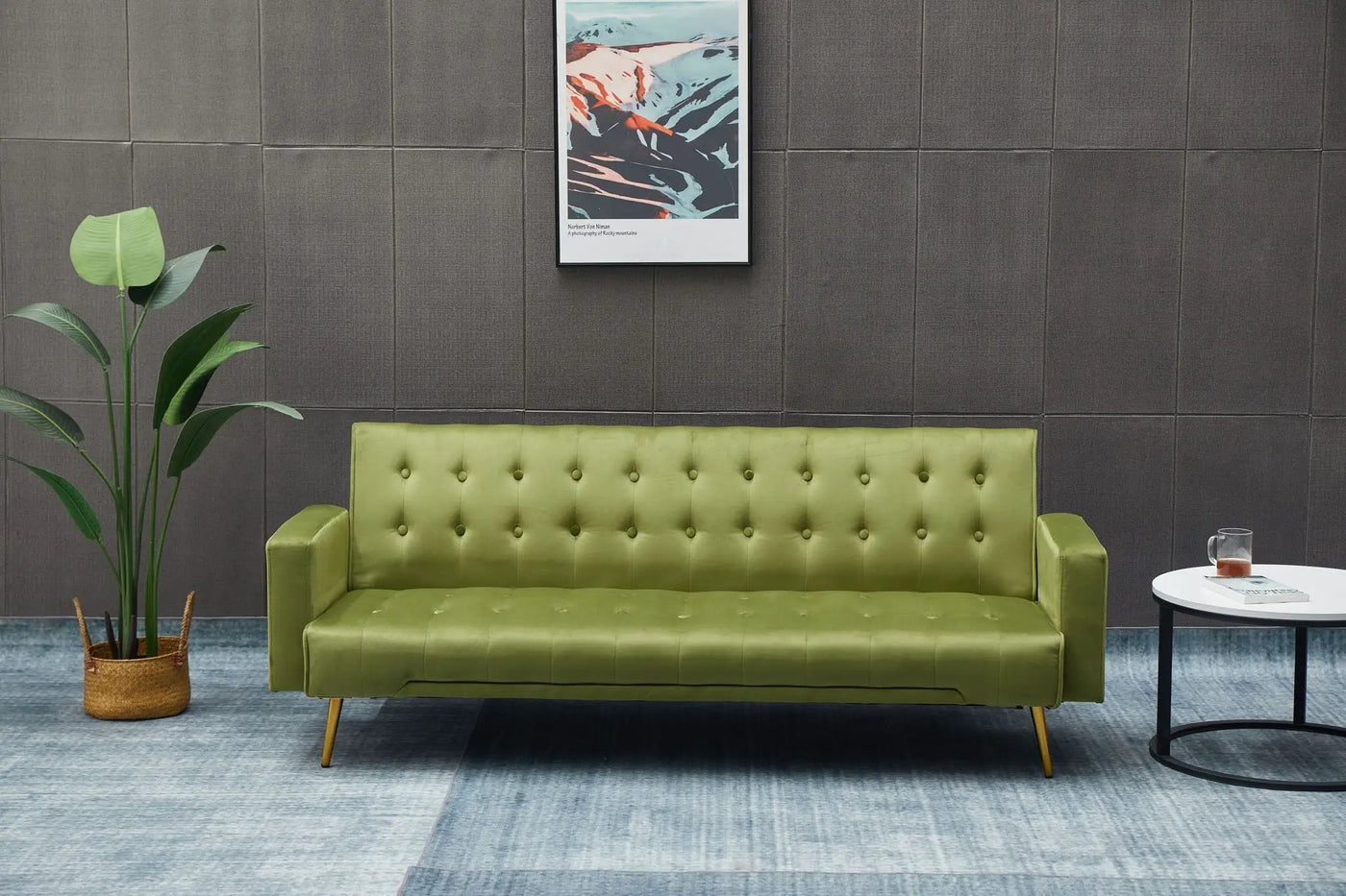 Comfort Compact Design Sofa Bed by HouseOfZazla