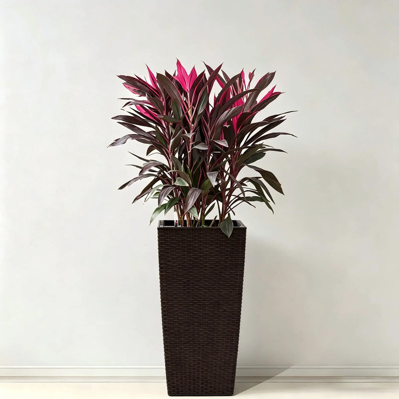 Indoor Outdoor Planter With Automatic Watering System by Unique Piece Furniture