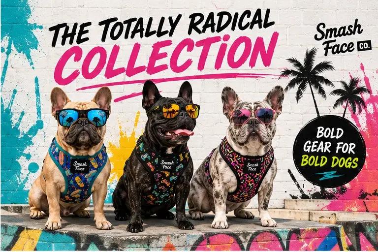 Totally Radical Reversible Dog Harness, Collar & Leash Set | Retro Gamer & Surf Skate Print | French Bulldog Harness by HouseOfZazla