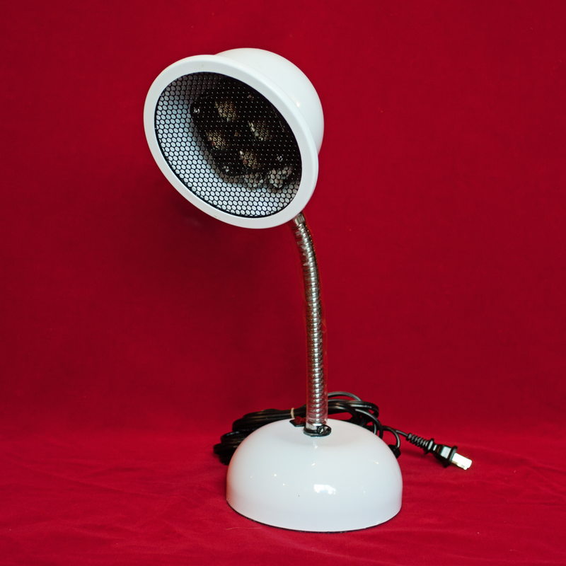 Desktop Table Lamp, photo 5 of 7