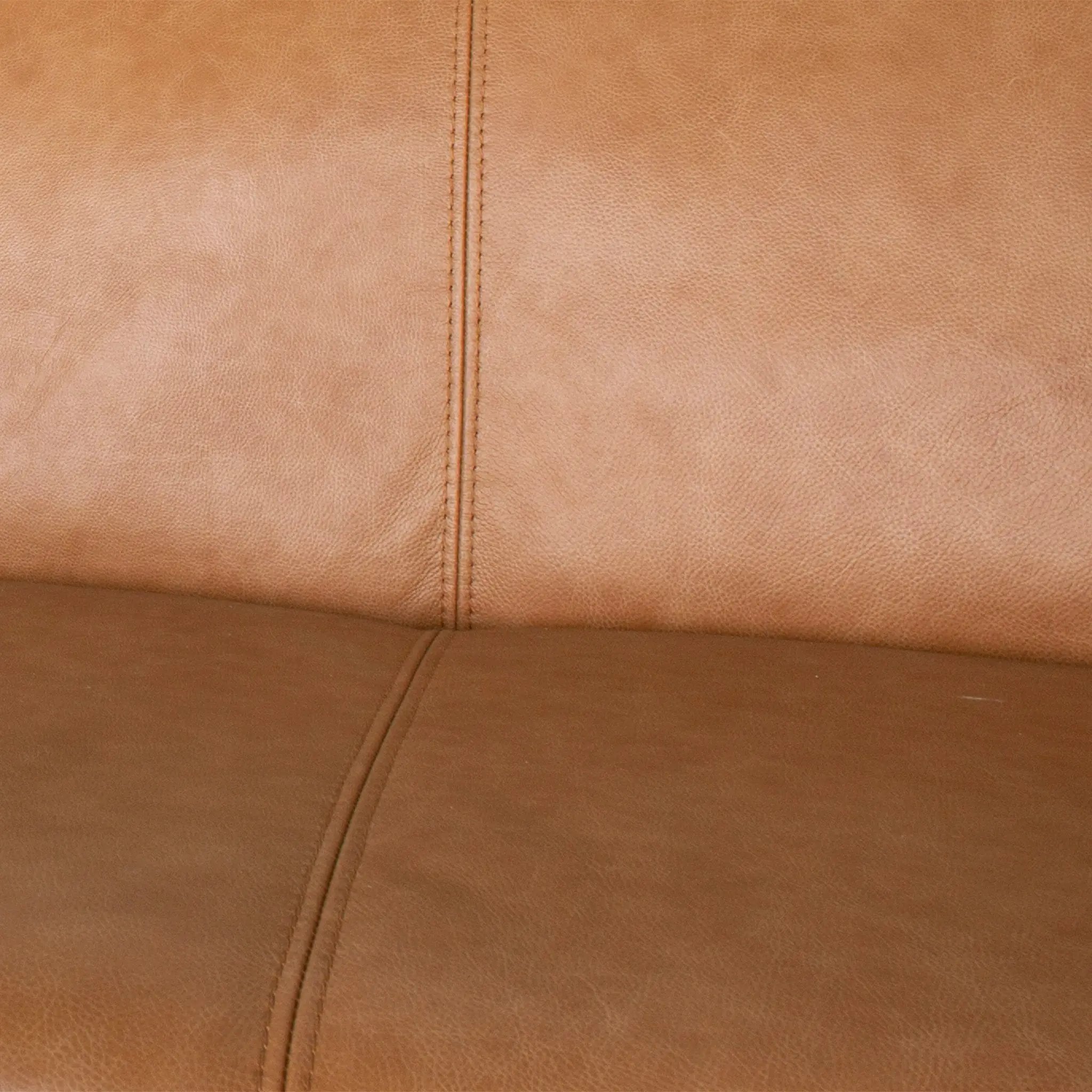 Phoenix Leather Sofa by HouseOfZazla