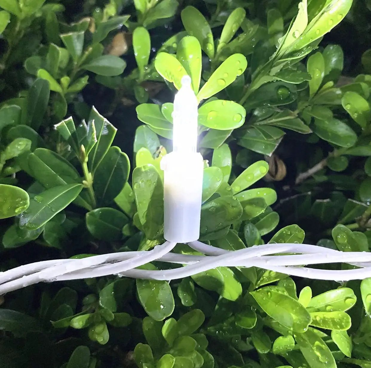 150 LED Christmas Lights, 50 FT Green/White Wire by Outdoor Solar Outlet