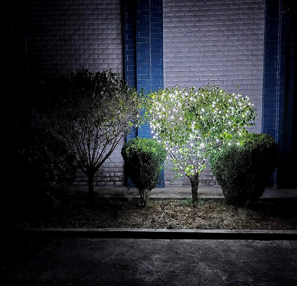 150 LED Christmas Lights, 50 FT Green/White Wire by Outdoor Solar Outlet