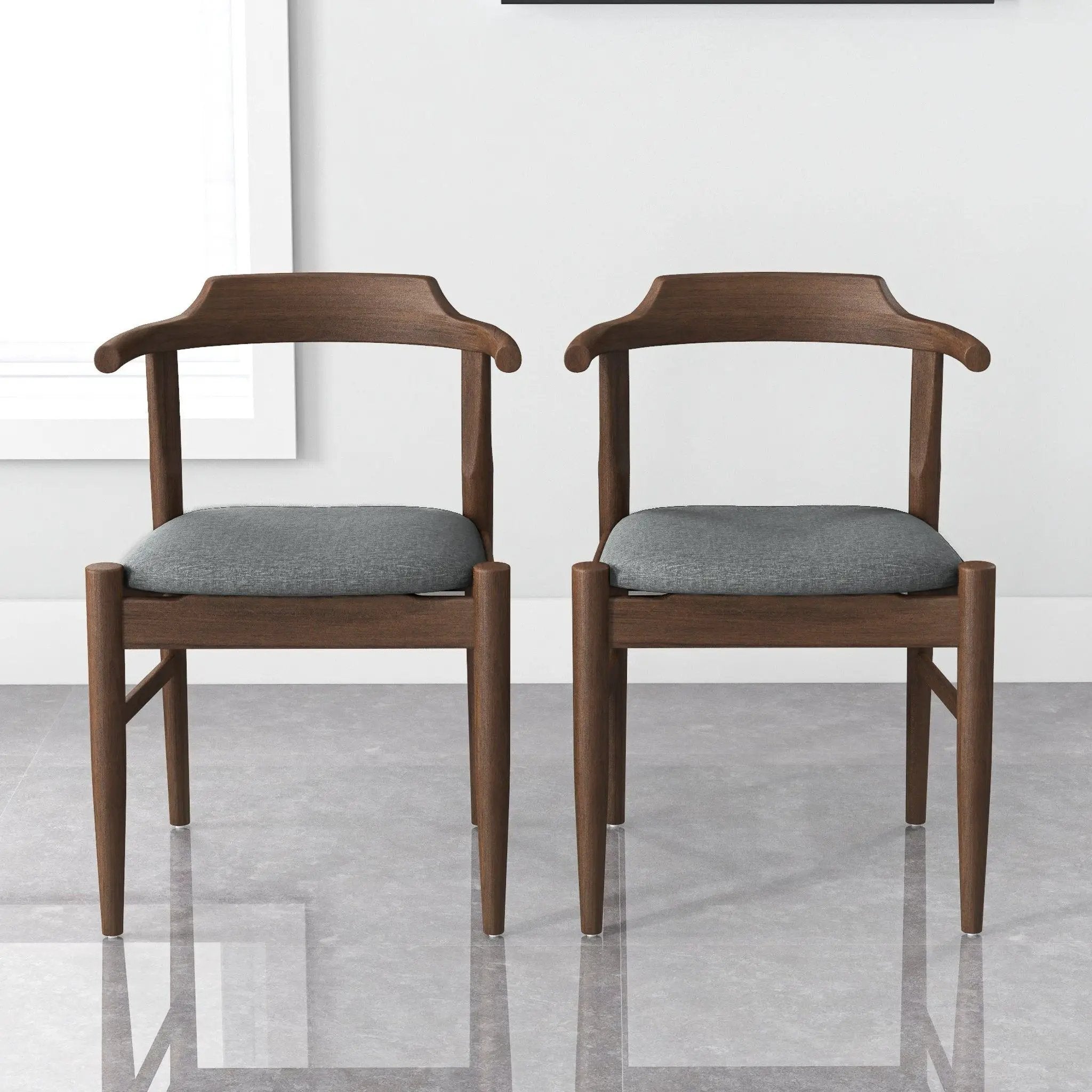 Daisy - Mid-Century Modern Dining Chair (Set of 2) by HouseOfZazla