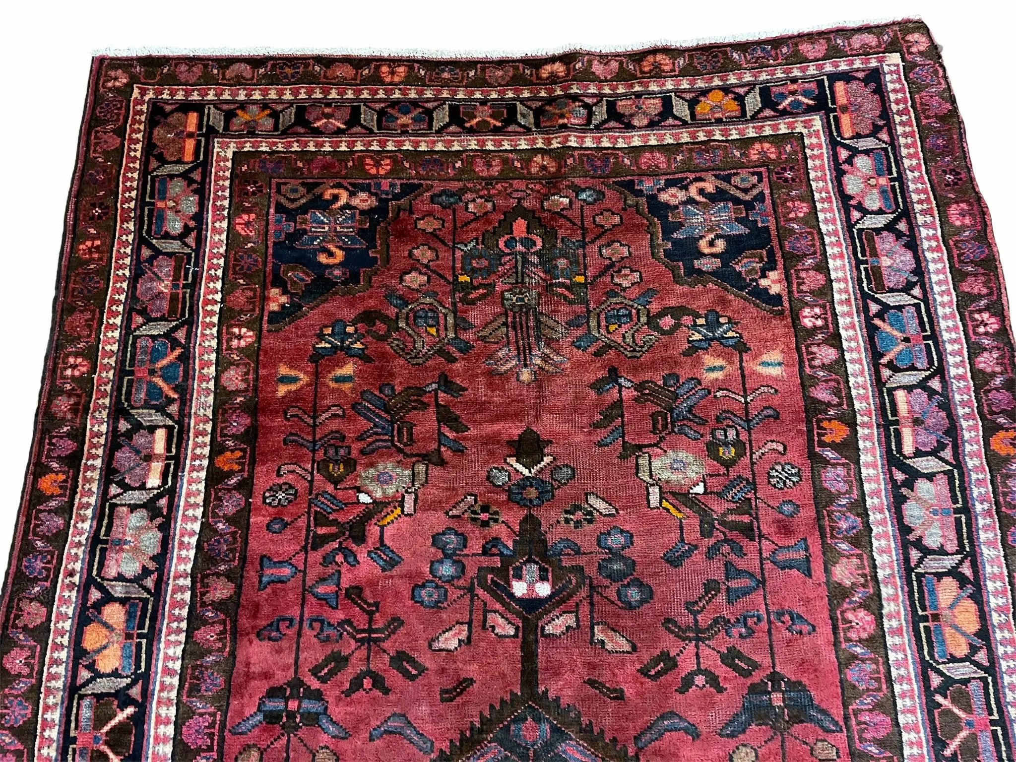 5.5 X 10 Handmade Wool Tribal Gallery Rug Wide Runner Corridor Rug Floral Red by Jewel Rugs