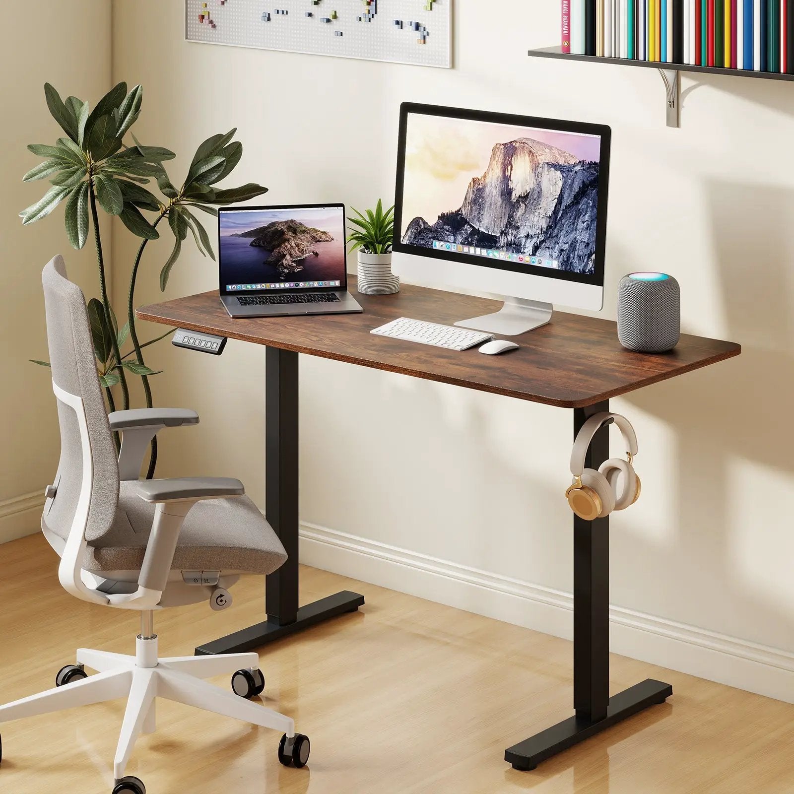 48 Inch x 24 Inch Ergonomic Electric Standing Desk with 3 Memory Settings for Home Office by DirectDeals