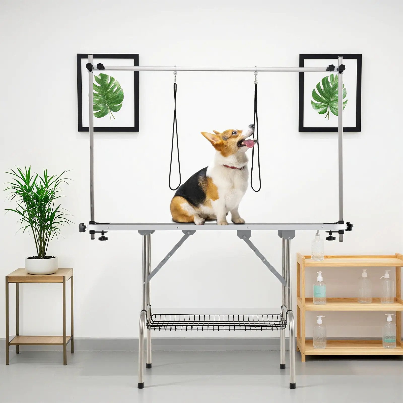 Foldable Dog Grooming Table with Height Adjustable Arms-Black by DirectDeals