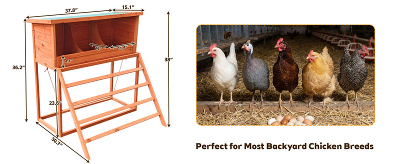 3-in-1 Nesting Boxes for Chickens with Perch and Swing by HouseOfZazla