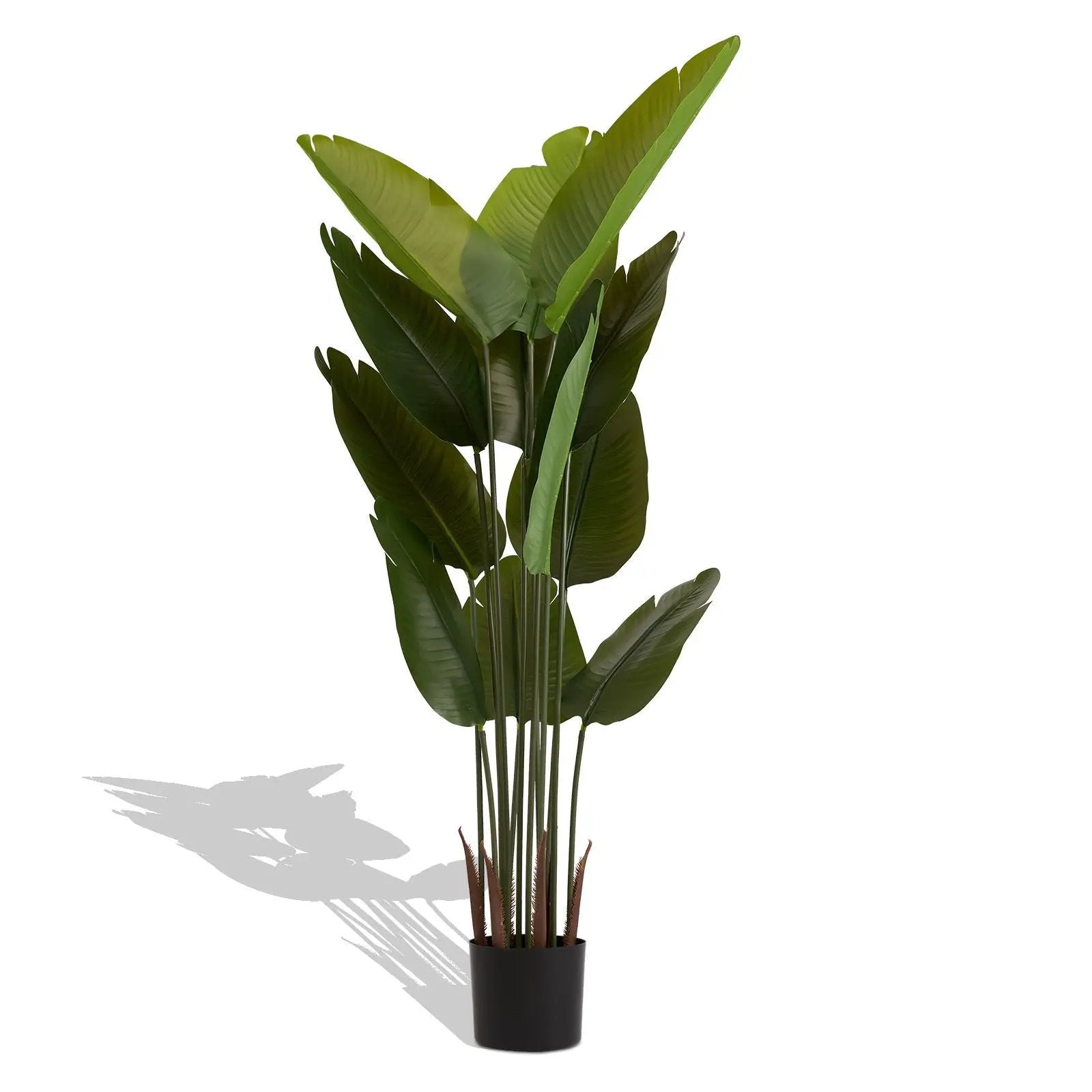 Artificial Plant For Indoor And Outdoor Decoration (Set of 2) by HouseOfZazla