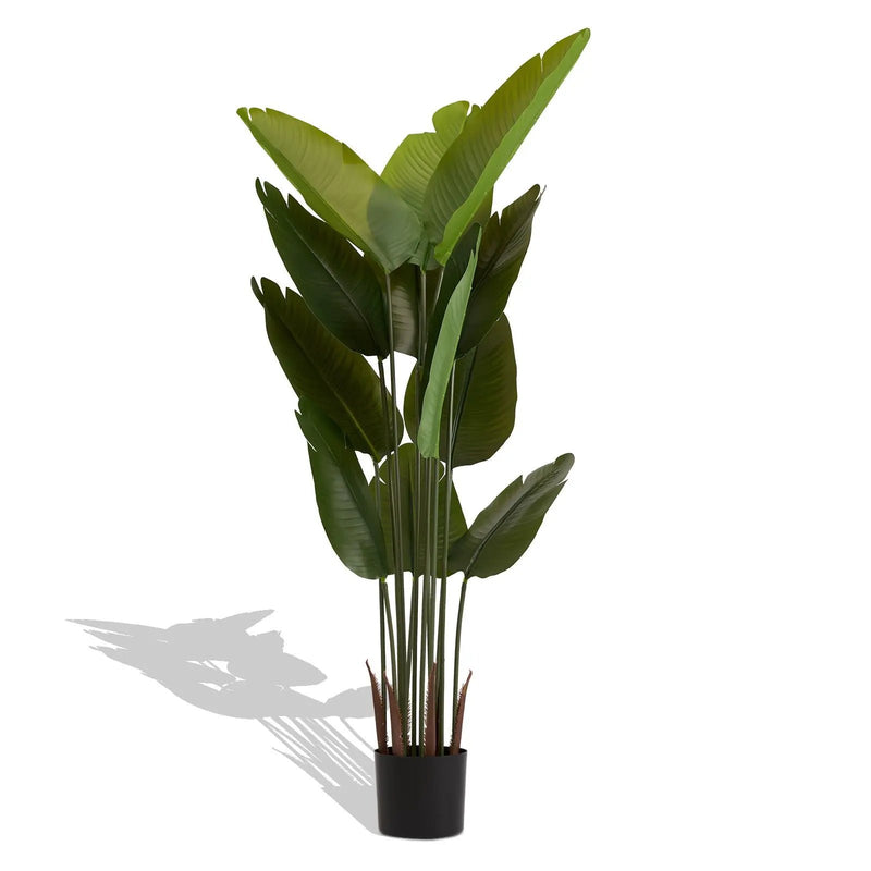 Artificial Plant For Indoor And Outdoor Decoration (Set of 2) by HouseOfZazla