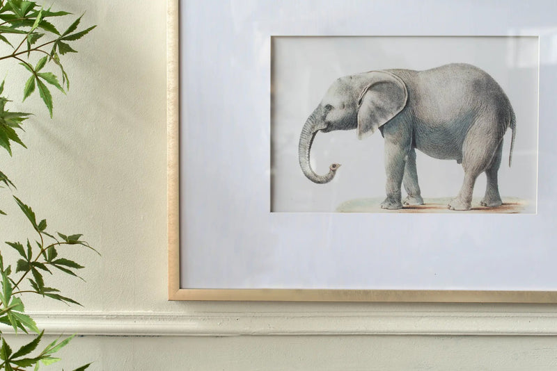 23.6x31.5" Fake Elephant Pencil Drawings, Set of 2 by HouseOfZazla