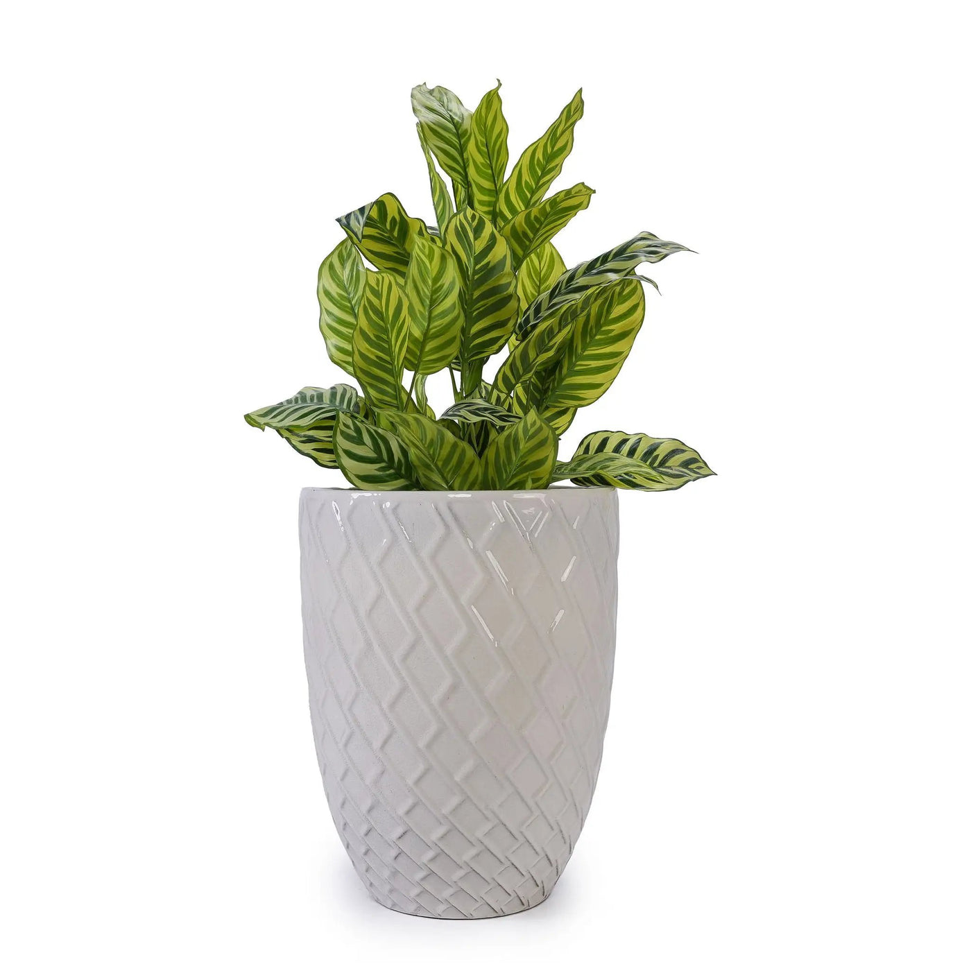 Ceramic Flowerpot, Planter For Patio, Garden, Windowsill by HouseOfZazla