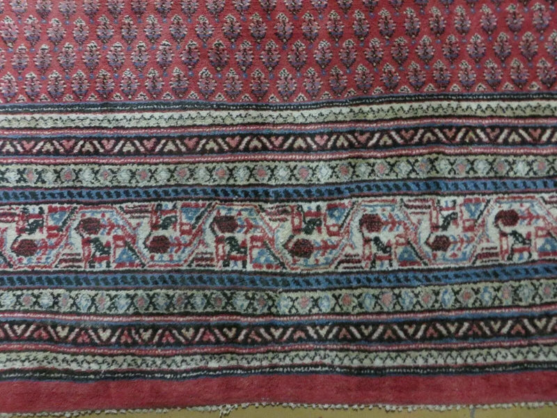 7' X 9' Vintage India Oriental Paisley Handmade Wool Rug Red Vegetable Dyes by Jewel Rugs