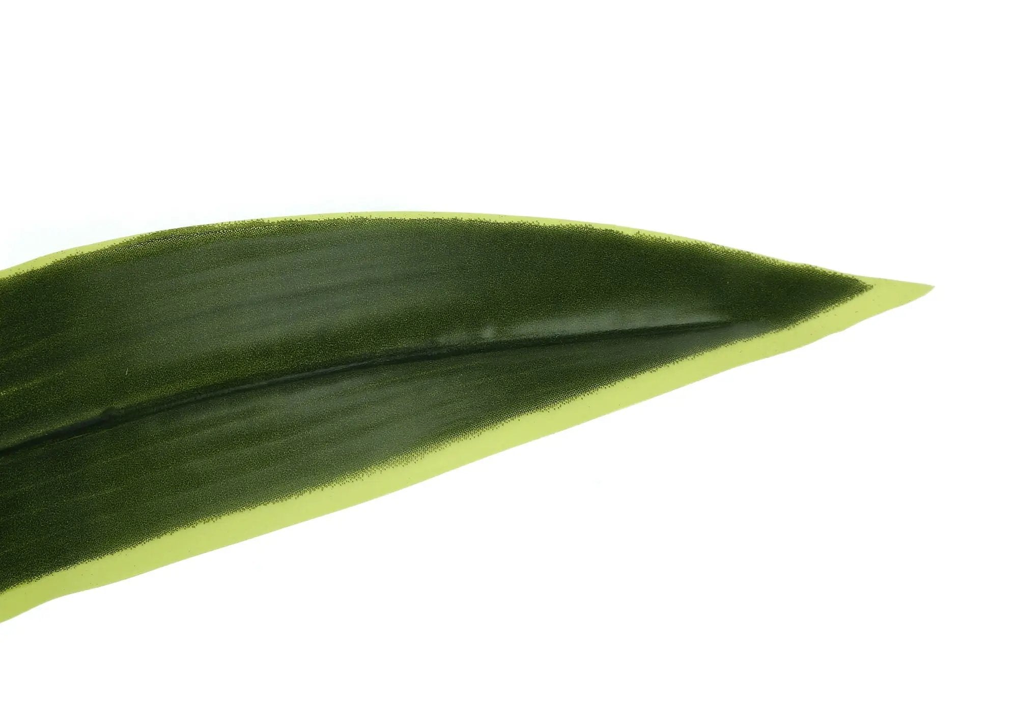 47" Tall Artificial Dracaena Tree Indoor Faux Plant by HouseOfZazla