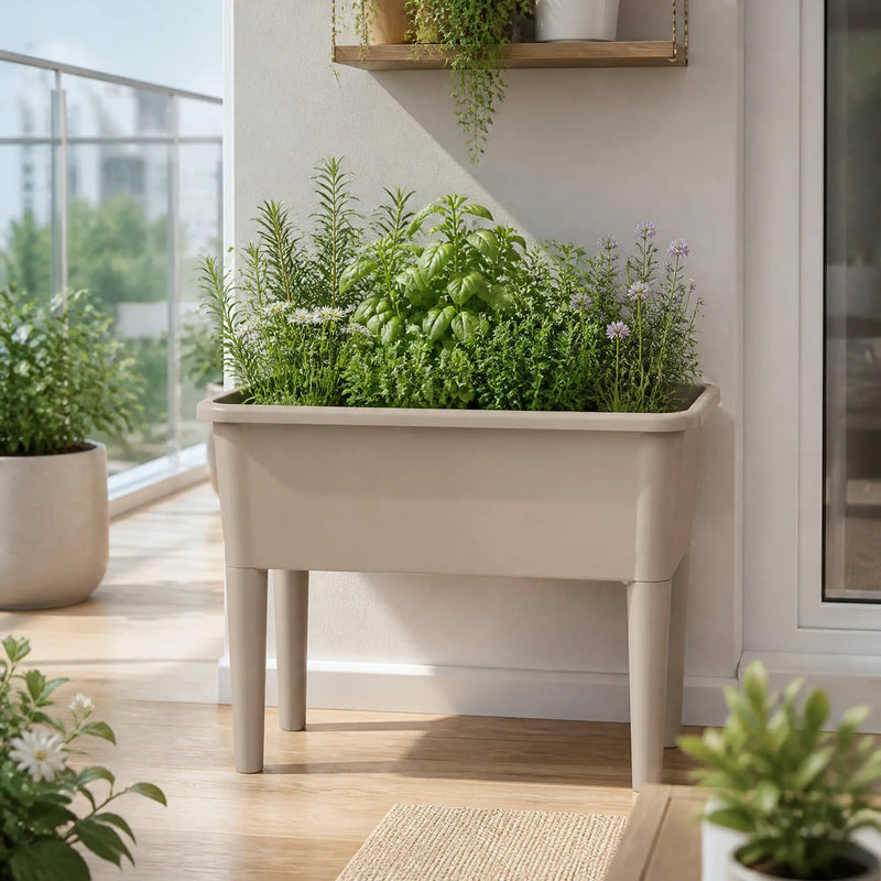 Raised Garden Bed with Ventilated Transparent Greenhouse Lid by HouseOfZazla