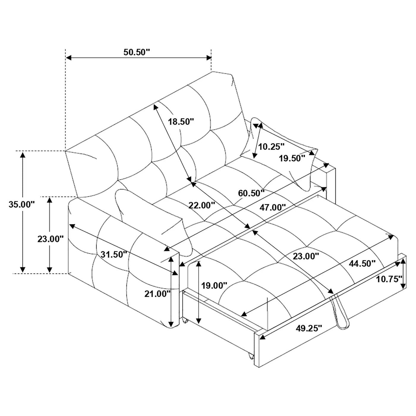 Alvara - Tufted Cushion Pull Out Sleeper Sofa Bed by HouseOfZazla