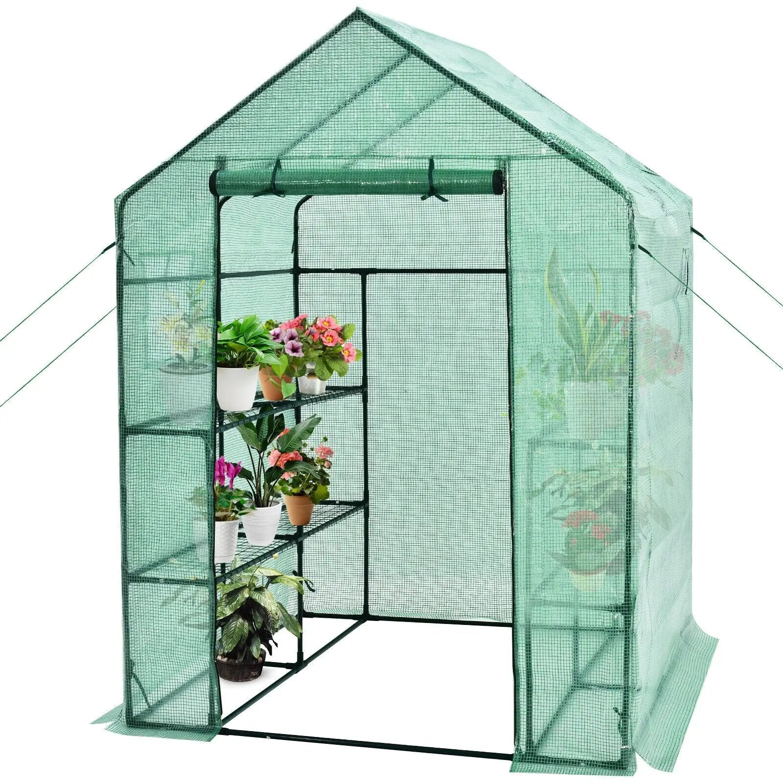 Walk-in Greenhouse 56 x 56 x 77 Inch Gardening with Observation Windows by DirectDeals