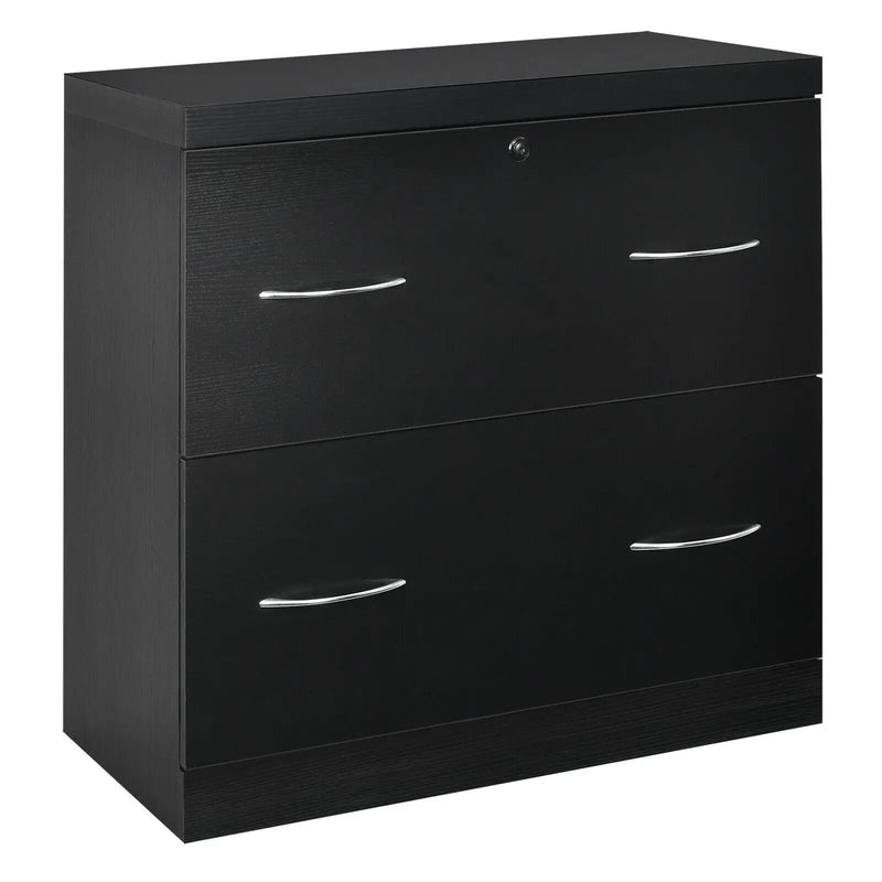 2-Drawer File Cabinet with Lock Hinging Bar Letter and Legal Size by DirectDeals