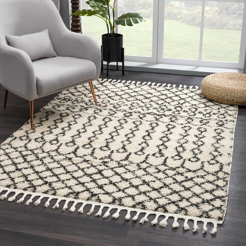 Muni Berber Shag Rug - Clearance by Boutique Rugs
