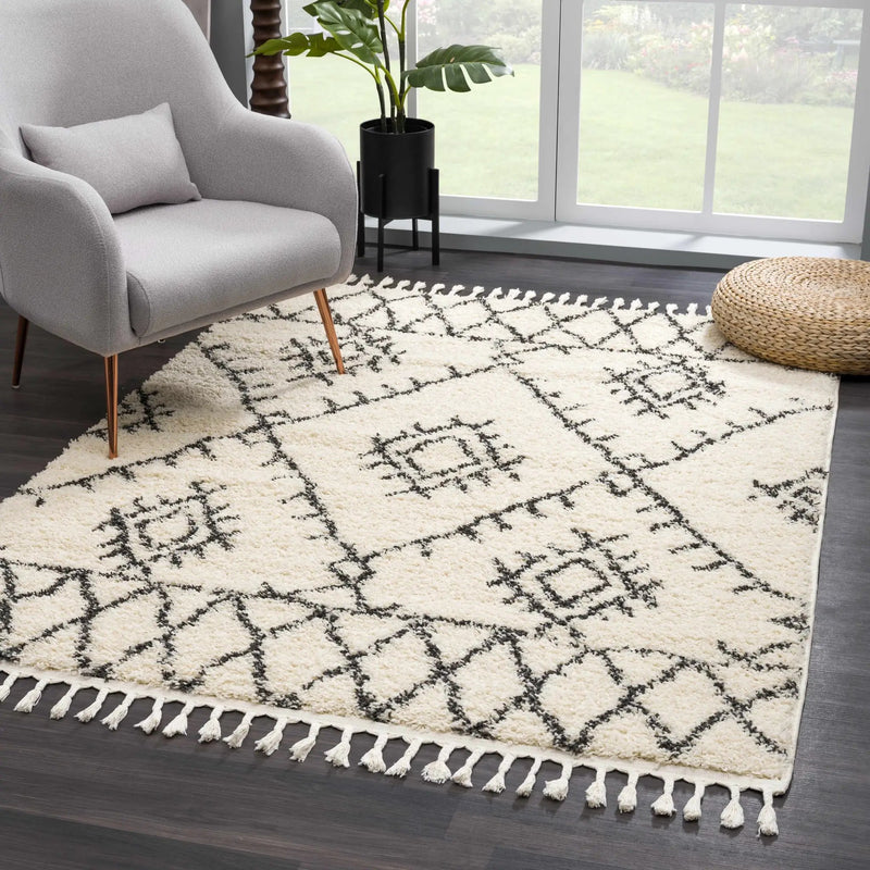 Emlenton Berber Shag with Tassels - Clearance by Boutique Rugs