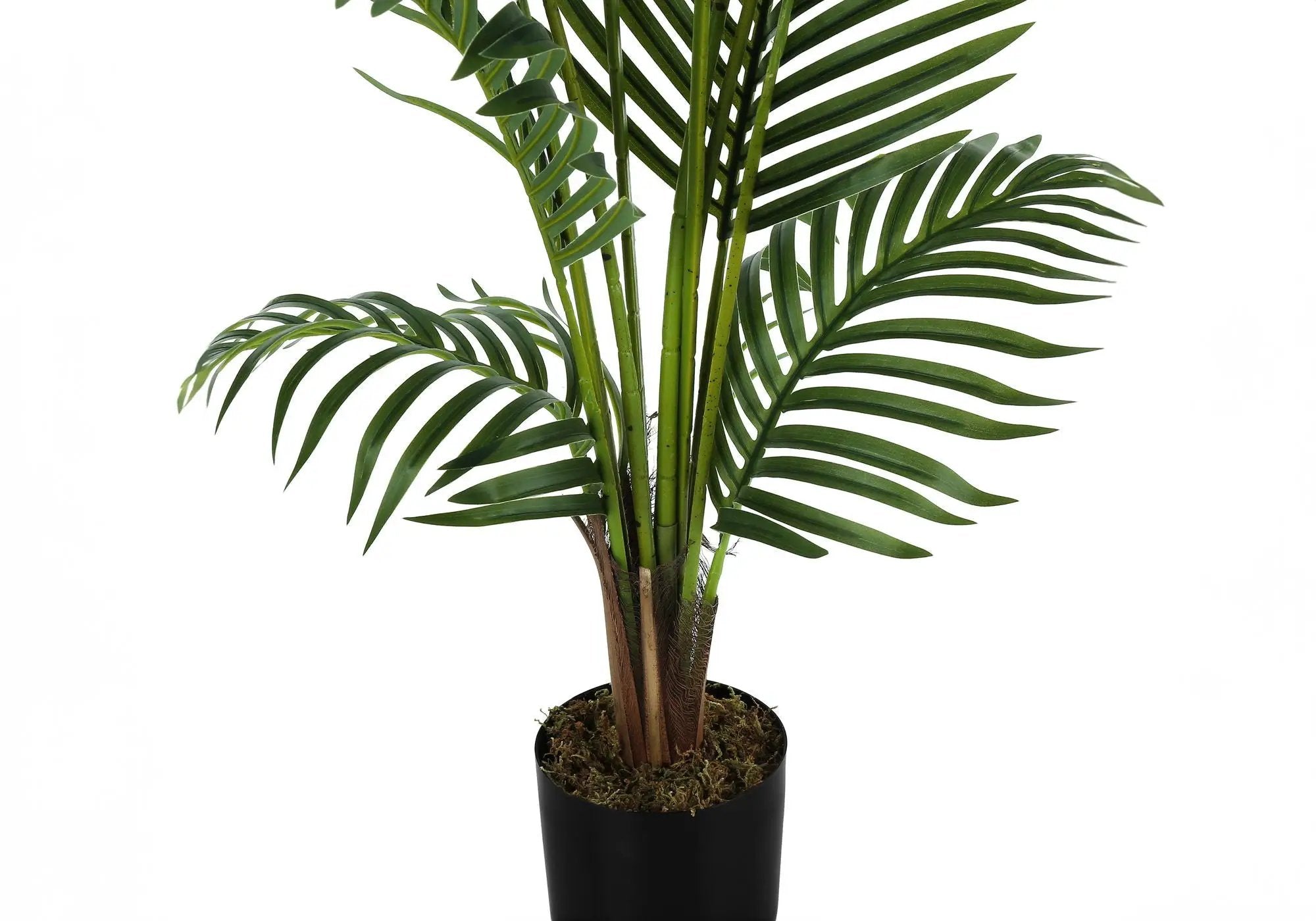 57" Tall, Artificial Plant, Palm Tree, Indoor, Faux, Fake, Floor, Greenery, Potted, Real Touch, Decorative - Green / Black by Unique Piece Furniture