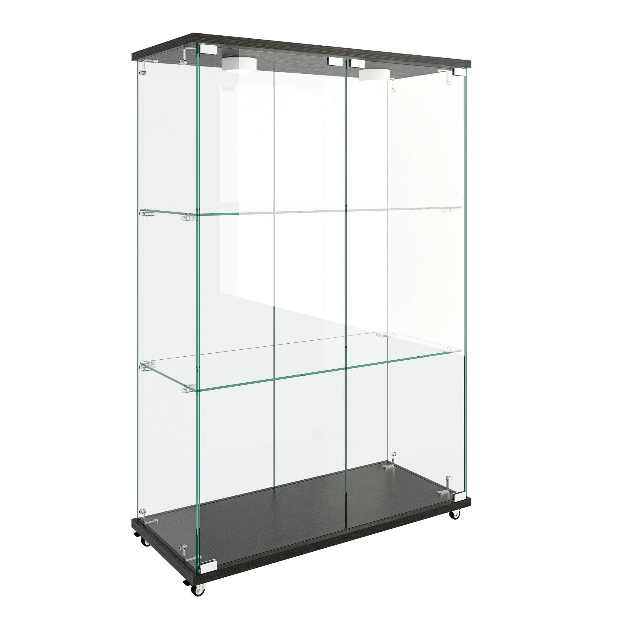 Modern Display Cabinet With LED Lights, Transparent Tempered Glass 2 Door Storage Case With 3 Shelves by HouseOfZazla