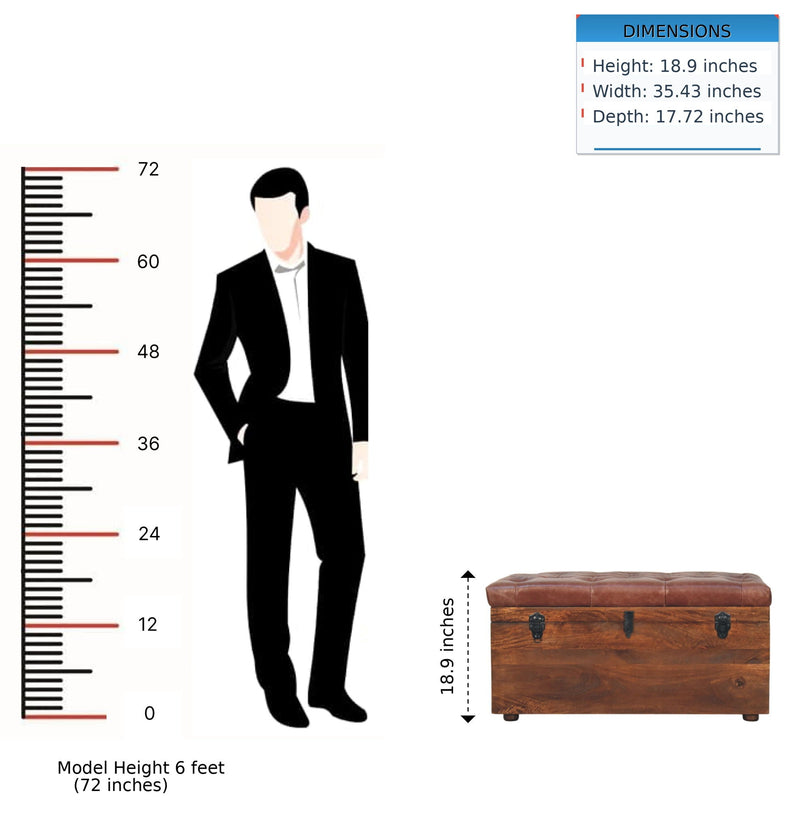 Buffalo - Storage Trunk by HouseOfZazla