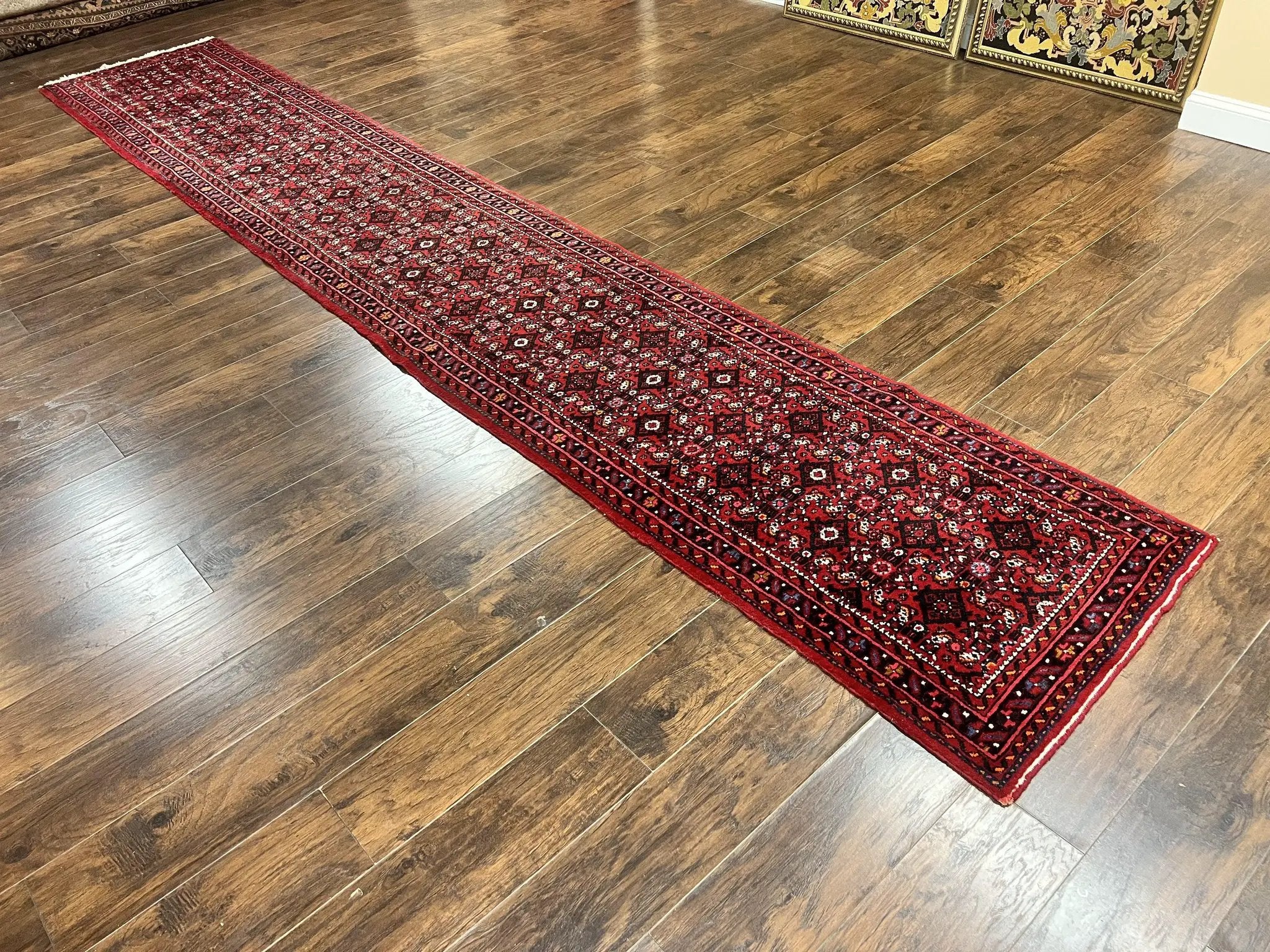 Persian Runner Rug 3 x 16, Wool Handmade Long Antique Hamadan Oriental Rug for Hallway, Red Tribal Rug, Allover Pattern, 3x16 Runner Rug by Jewel Rugs